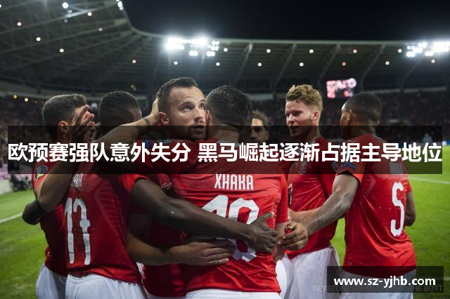 欧预赛强队意外失分 黑马崛起逐渐占据主导地位
