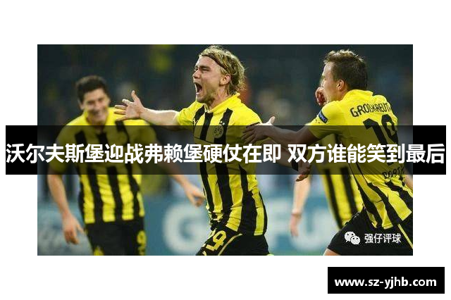 沃尔夫斯堡迎战弗赖堡硬仗在即 双方谁能笑到最后
