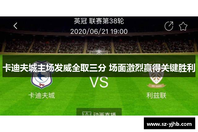 卡迪夫城主场发威全取三分 场面激烈赢得关键胜利
