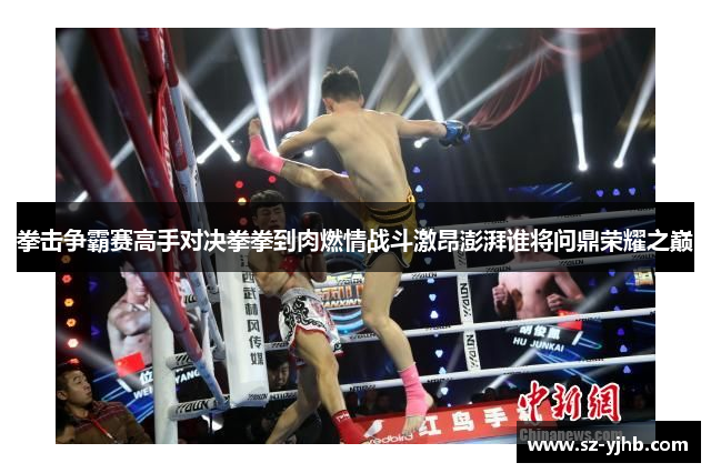 拳击争霸赛高手对决拳拳到肉燃情战斗激昂澎湃谁将问鼎荣耀之巅