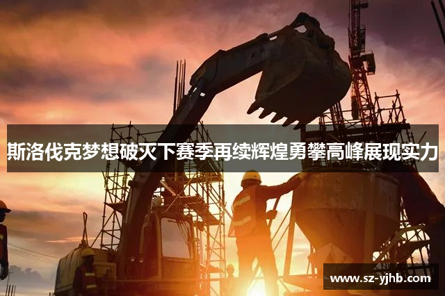 斯洛伐克梦想破灭下赛季再续辉煌勇攀高峰展现实力