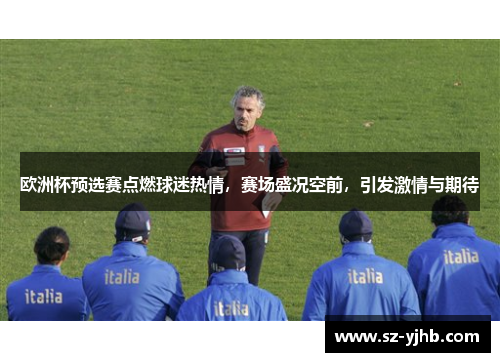 欧洲杯预选赛点燃球迷热情，赛场盛况空前，引发激情与期待