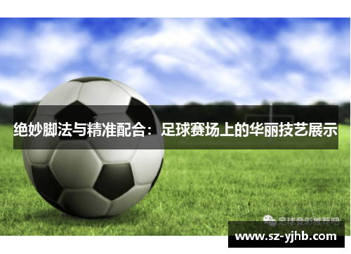 绝妙脚法与精准配合：足球赛场上的华丽技艺展示