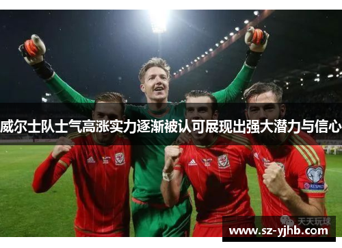 威尔士队士气高涨实力逐渐被认可展现出强大潜力与信心