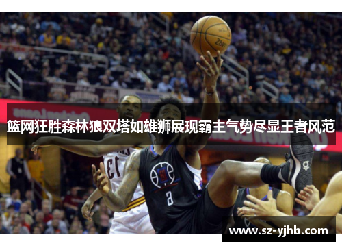 篮网狂胜森林狼双塔如雄狮展现霸主气势尽显王者风范