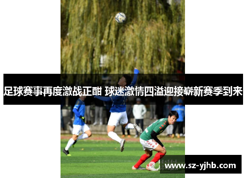 足球赛事再度激战正酣 球迷激情四溢迎接崭新赛季到来
