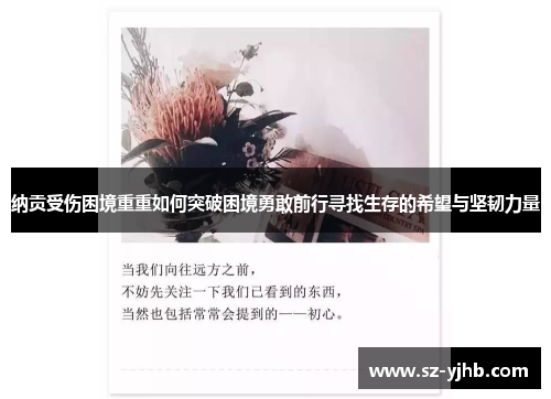 纳贡受伤困境重重如何突破困境勇敢前行寻找生存的希望与坚韧力量