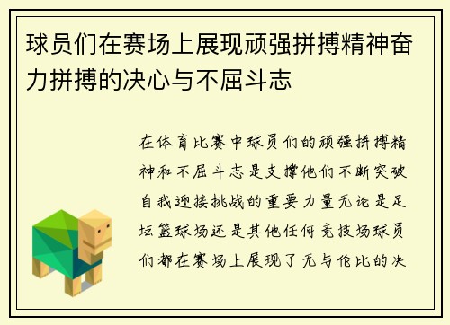球员们在赛场上展现顽强拼搏精神奋力拼搏的决心与不屈斗志