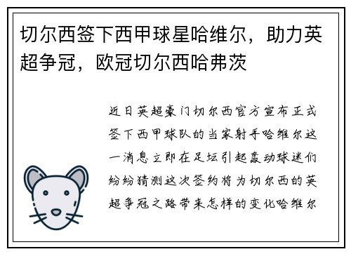 切尔西签下西甲球星哈维尔，助力英超争冠，欧冠切尔西哈弗茨